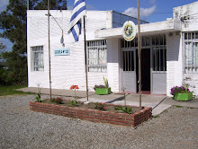 Mi foto