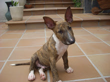 Mi foto