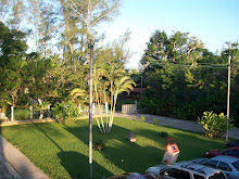 Mi foto