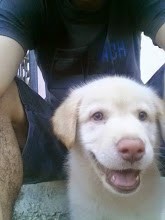 Mi foto