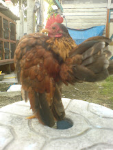My photo