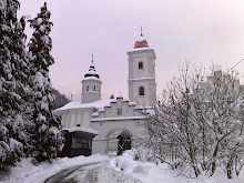 Моја слика