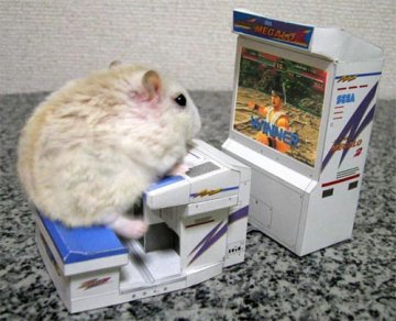 Mi foto