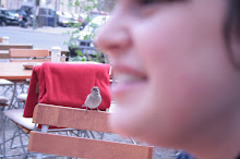 Mein Bild