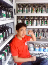 Foto saya