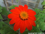 My photo