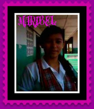 Mi foto