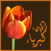 صورتي