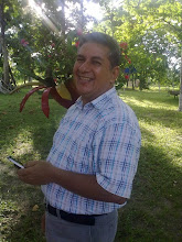 Mi foto