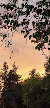 Fotoğrafım