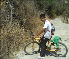 Mi foto