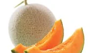 CARA SINGKAT MENANAM BUAH MELON