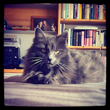 Mein Bild