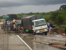 Picha Yangu
