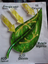 Mi foto
