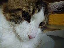 自分の写真