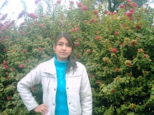Mi foto