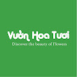 Ảnh của tôi