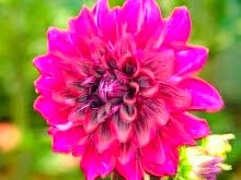 My photo