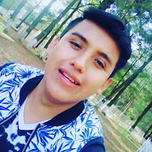 Mi foto