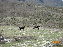 Η φωτογραφία μου