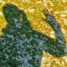 Mein Bild