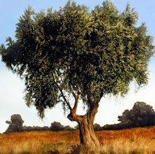 Η φωτογραφία μου