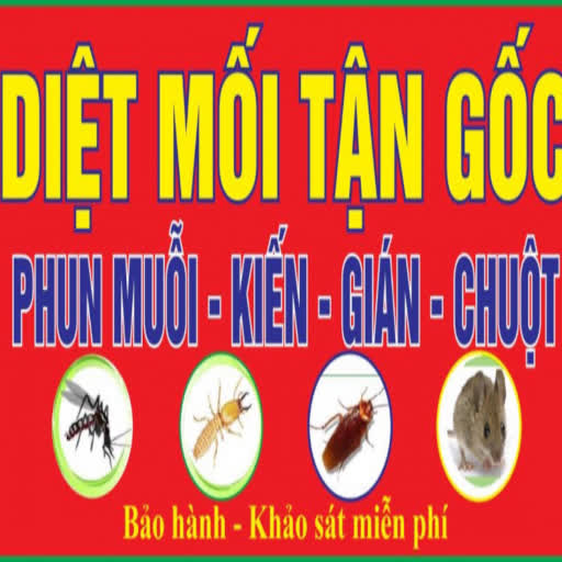 Diệt muỗi nhà hàng Vũng Tàu