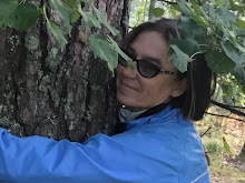 Oma kuva