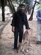 My photo