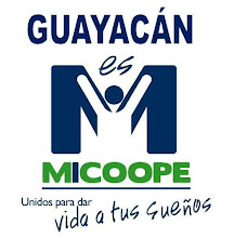 Mi foto