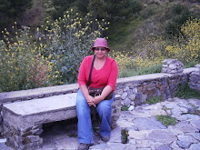 Mi foto