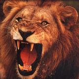 My photo