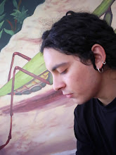 Mi foto