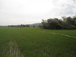 Foto saya