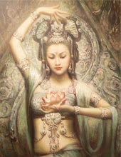 我的相片