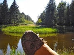 Mein Bild