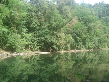 Mi foto