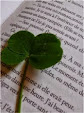 Ma photo