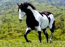 Ma photo