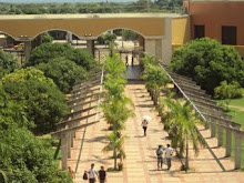 Mi foto