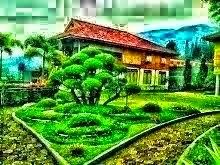 Foto saya