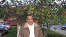 My photo