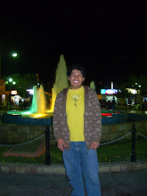 Mi foto