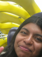 Mi foto