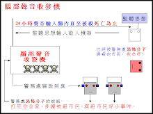 我的相片