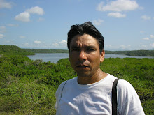 Mi foto