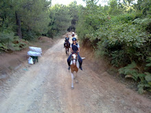 Fotoğrafım