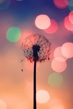 Minha foto