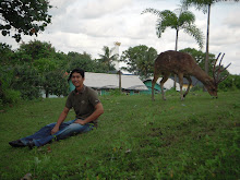 รูปภาพของฉัน